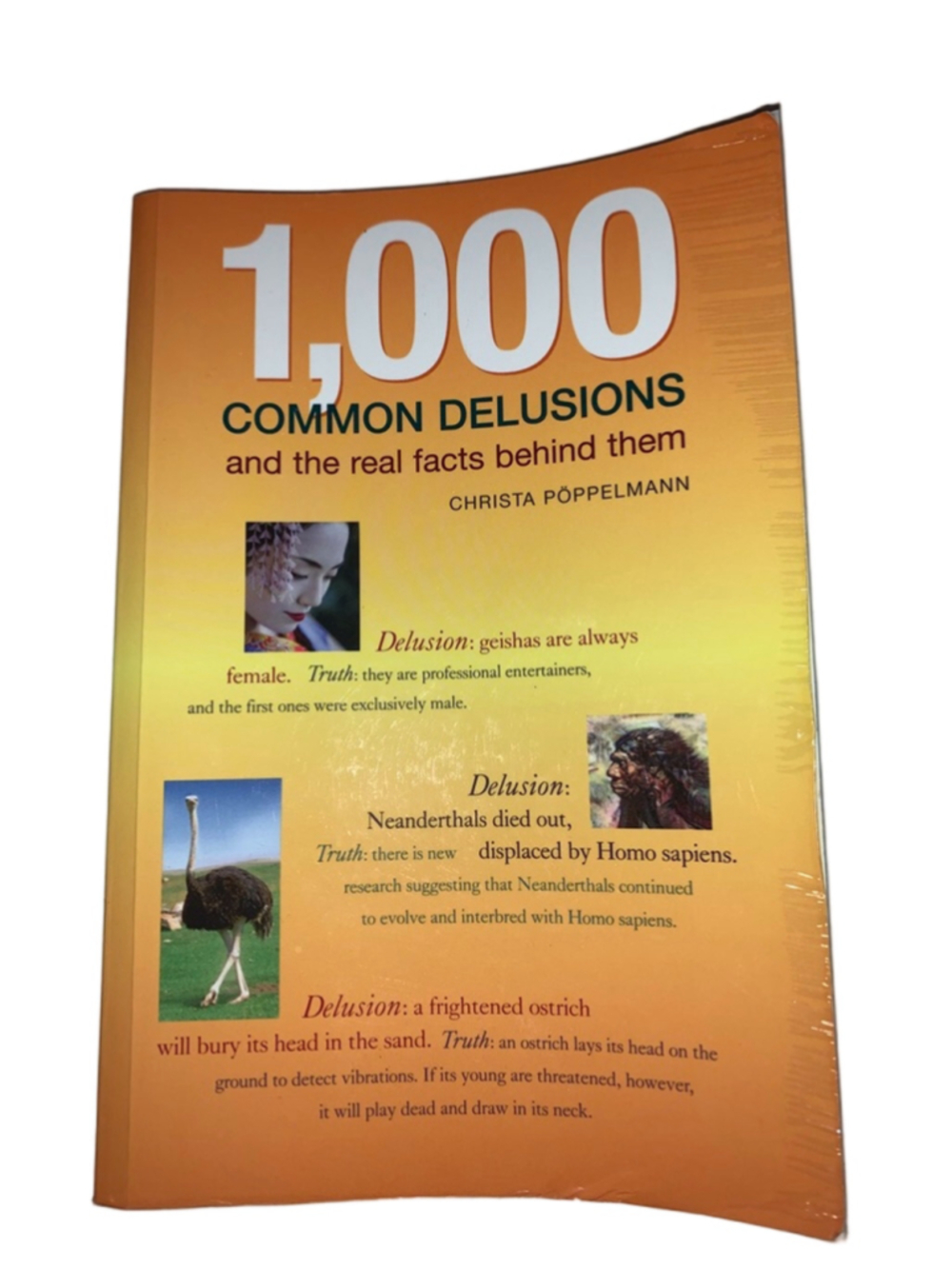 Firefly Books 1,000 Common Delusions paperback Book Orange White One Size